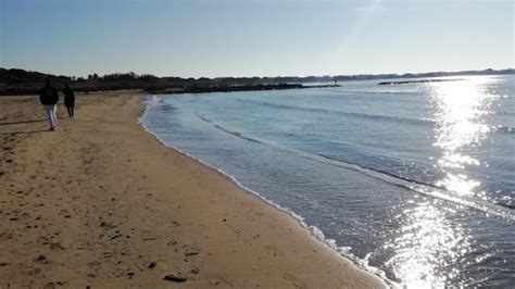 température de l'eau au grau du roi